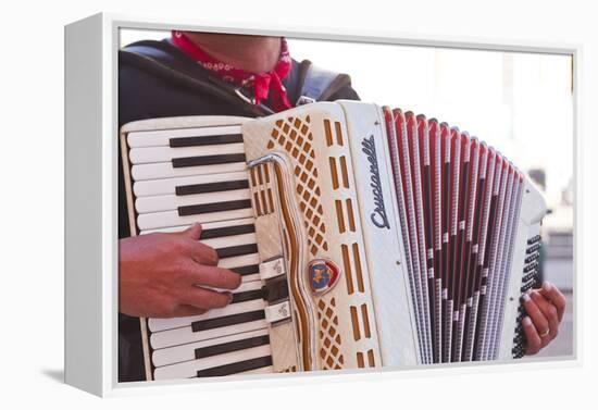 A Street Musician Plays the Accordion, Lyon, Rhone, Rhone-Alpes, France, Europe-Mark Sunderland-Framed Premier Image Canvas