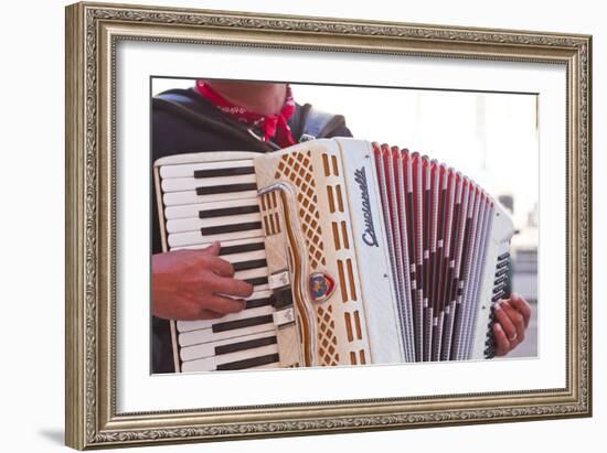 A Street Musician Plays the Accordion, Lyon, Rhone, Rhone-Alpes, France, Europe-Mark Sunderland-Framed Photographic Print
