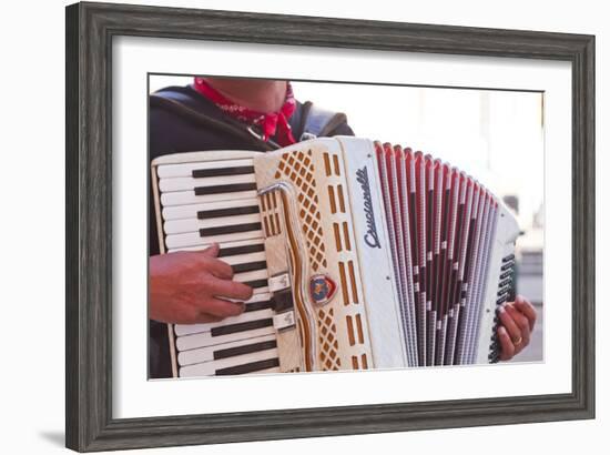 A Street Musician Plays the Accordion, Lyon, Rhone, Rhone-Alpes, France, Europe-Mark Sunderland-Framed Photographic Print