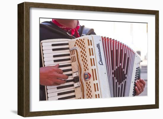 A Street Musician Plays the Accordion, Lyon, Rhone, Rhone-Alpes, France, Europe-Mark Sunderland-Framed Photographic Print