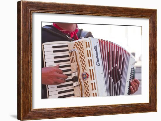 A Street Musician Plays the Accordion, Lyon, Rhone, Rhone-Alpes, France, Europe-Mark Sunderland-Framed Photographic Print