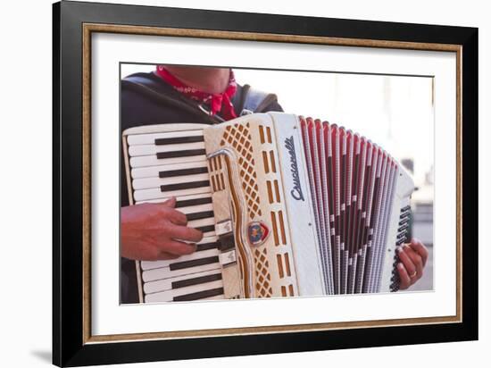 A Street Musician Plays the Accordion, Lyon, Rhone, Rhone-Alpes, France, Europe-Mark Sunderland-Framed Photographic Print