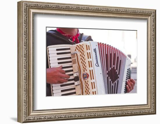 A Street Musician Plays the Accordion, Lyon, Rhone, Rhone-Alpes, France, Europe-Mark Sunderland-Framed Premium Photographic Print