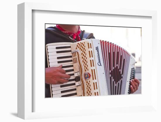 A Street Musician Plays the Accordion, Lyon, Rhone, Rhone-Alpes, France, Europe-Mark Sunderland-Framed Premium Photographic Print