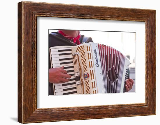 A Street Musician Plays the Accordion, Lyon, Rhone, Rhone-Alpes, France, Europe-Mark Sunderland-Framed Photographic Print