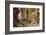 A Street Scene in Cairo-Charles Robertson-Framed Photographic Print