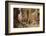 A Street Scene in Cairo-Charles Robertson-Framed Photographic Print