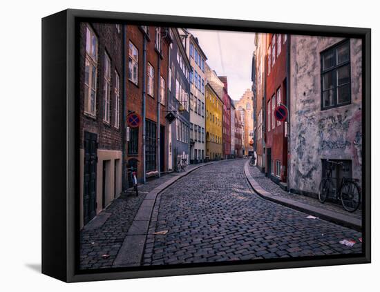 A Street Scene in Copenhagen, Denmark, Scandinavia, Europe-Jim Nix-Framed Premier Image Canvas