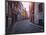 A Street Scene in Copenhagen, Denmark, Scandinavia, Europe-Jim Nix-Mounted Photographic Print