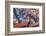 A Street Seller's Wares-Charlie Harding-Framed Photographic Print