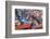 A Street Seller's Wares-Charlie Harding-Framed Photographic Print