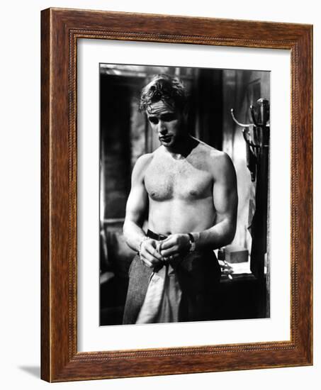 A Streetcar Named Desire, Marlon Brando, 1951-null-Framed Photo