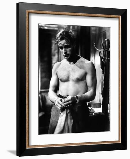 A Streetcar Named Desire, Marlon Brando, 1951-null-Framed Photo