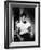 A Streetcar Named Desire, Marlon Brando, 1951-null-Framed Photo