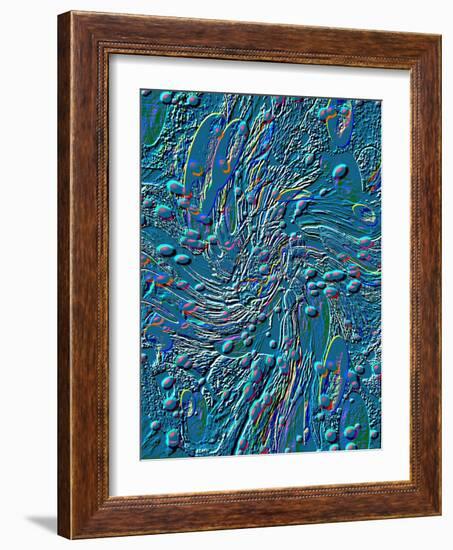 A Stroll On The Moon-Ruth Palmer 3-Framed Art Print