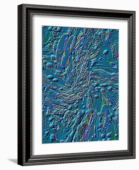 A Stroll On The Moon-Ruth Palmer 3-Framed Art Print