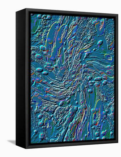 A Stroll On The Moon-Ruth Palmer 3-Framed Stretched Canvas