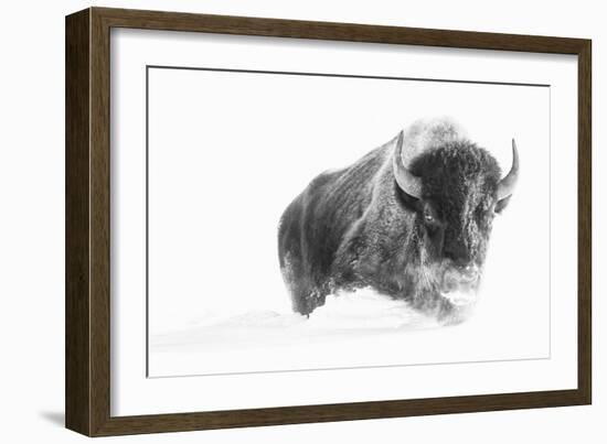 A Struggle-Wink Gaines-Framed Giclee Print