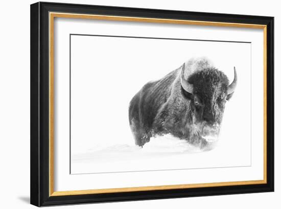 A Struggle-Wink Gaines-Framed Giclee Print