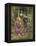 A Study for 'La Belle Dame Sans Merci', C.1893-John William Waterhouse-Framed Premier Image Canvas
