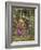 A Study for 'La Belle Dame Sans Merci', C.1893-John William Waterhouse-Framed Giclee Print