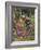 A Study for La Belle Dame Sans Merci-John William Waterhouse-Framed Giclee Print