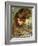 A Study for the Head of Venus-John William Waterhouse-Framed Giclee Print