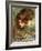 A Study for the Head of Venus-John William Waterhouse-Framed Giclee Print