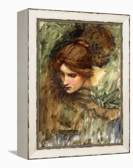 A Study for the Head of Venus-John William Waterhouse-Framed Premier Image Canvas