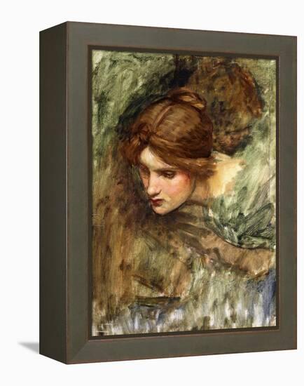 A Study for the Head of Venus-John William Waterhouse-Framed Premier Image Canvas