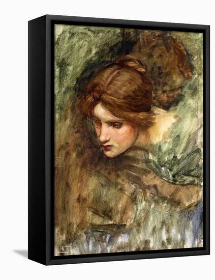 A Study for the Head of Venus-John William Waterhouse-Framed Premier Image Canvas