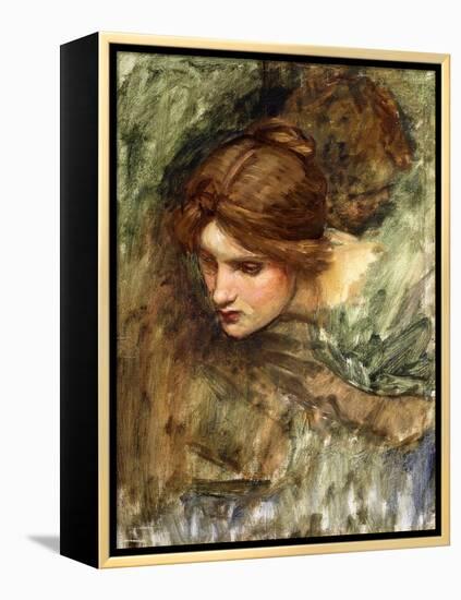 A Study for the Head of Venus-John William Waterhouse-Framed Premier Image Canvas