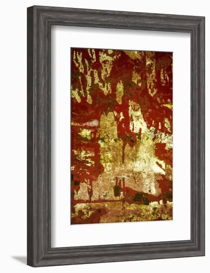 A Study in Red and Gold-Art Wolfe-Framed Photographic Print