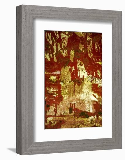 A Study in Red and Gold-Art Wolfe-Framed Photographic Print