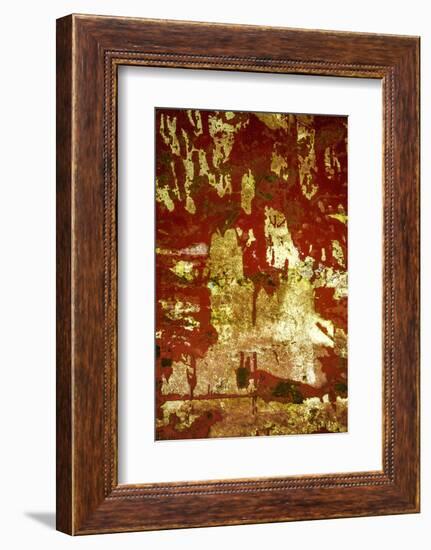 A Study in Red and Gold-Art Wolfe-Framed Photographic Print