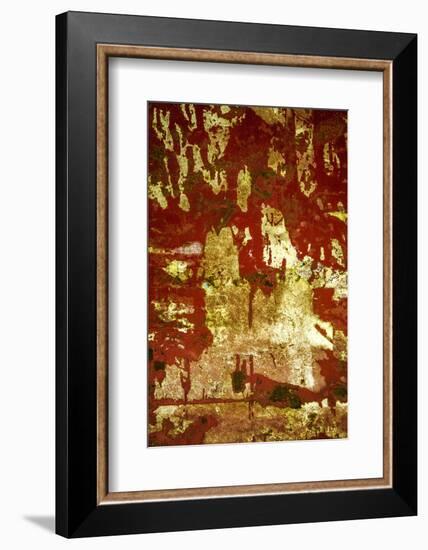 A Study in Red and Gold-Art Wolfe-Framed Photographic Print