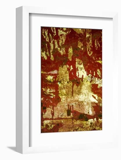 A Study in Red and Gold-Art Wolfe-Framed Photographic Print