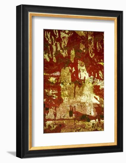 A Study in Red and Gold-Art Wolfe-Framed Photographic Print