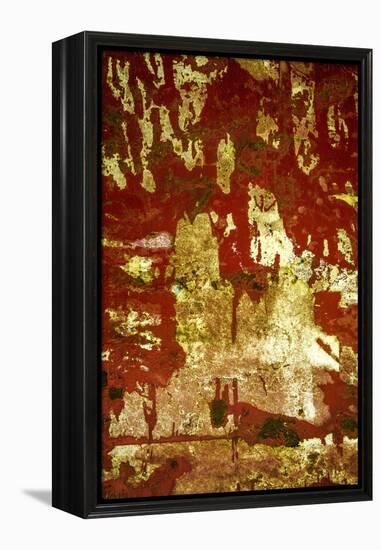 A Study in Red and Gold-Art Wolfe-Framed Premier Image Canvas