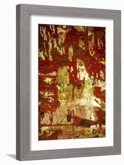 A Study in Red and Gold-Art Wolfe-Framed Photographic Print