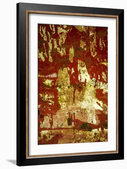 A Study in Red and Gold-Art Wolfe-Framed Photographic Print