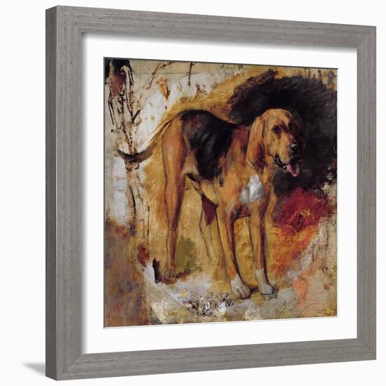 A Study of a Bloodhound, 1848-William Holman Hunt-Framed Giclee Print