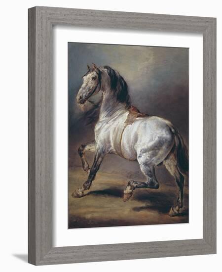 A Study of a Horse (Oil on Canvas)-Theodore Gericault-Framed Giclee Print