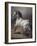 A Study of a Horse (Oil on Canvas)-Theodore Gericault-Framed Giclee Print