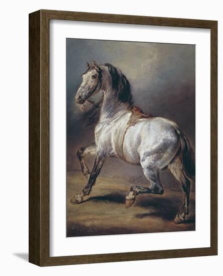 A Study of a Horse (Oil on Canvas)-Theodore Gericault-Framed Giclee Print