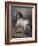 A Study of a Horse (Oil on Canvas)-Theodore Gericault-Framed Giclee Print