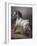 A Study of a Horse (Oil on Canvas)-Theodore Gericault-Framed Giclee Print
