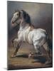 A Study of a Horse (Oil on Canvas)-Theodore Gericault-Mounted Giclee Print