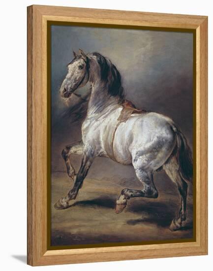 A Study of a Horse (Oil on Canvas)-Theodore Gericault-Framed Premier Image Canvas