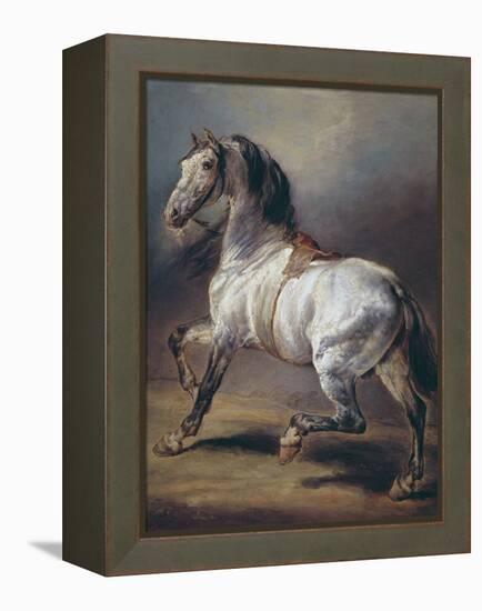 A Study of a Horse (Oil on Canvas)-Theodore Gericault-Framed Premier Image Canvas